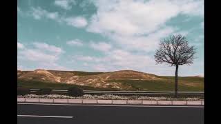 oleo - cactus (funny beat)