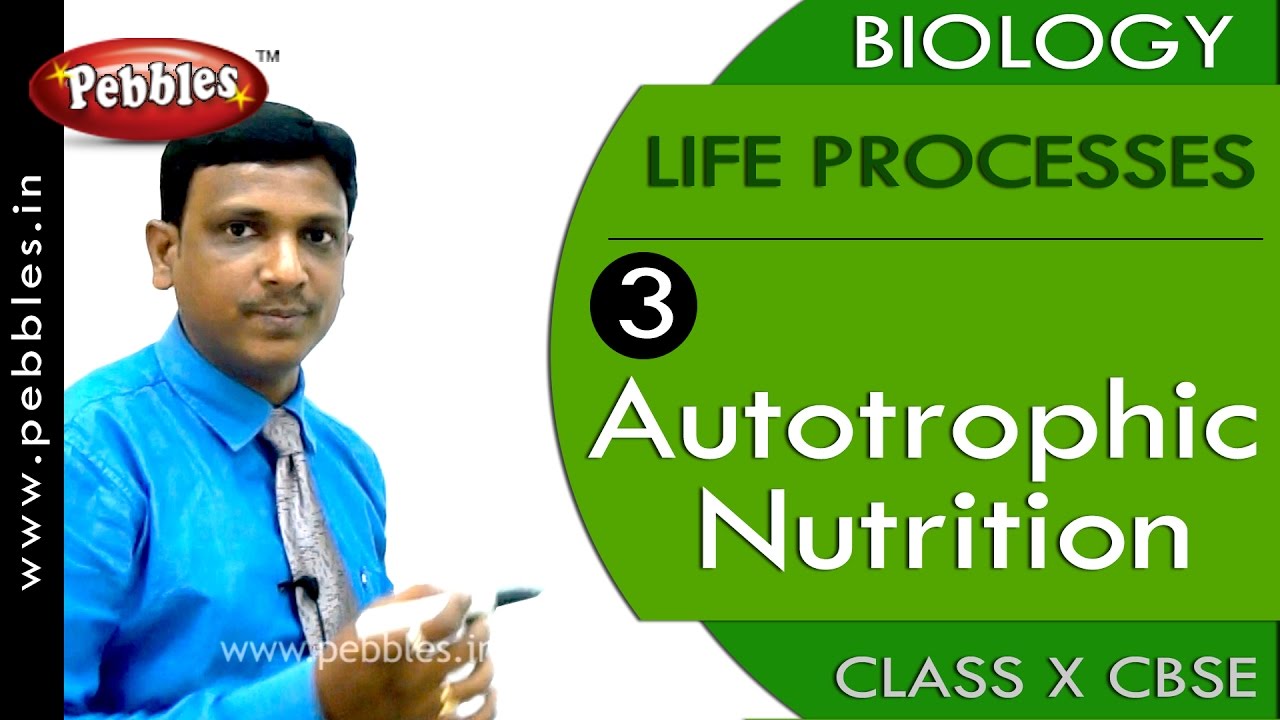 Autotrophic Nutrition| Life Processes | Biology | CBSE Class 10 Science
