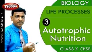 Autotrophic Nutrition| Life Processes | Biology | CBSE Class 10 Science