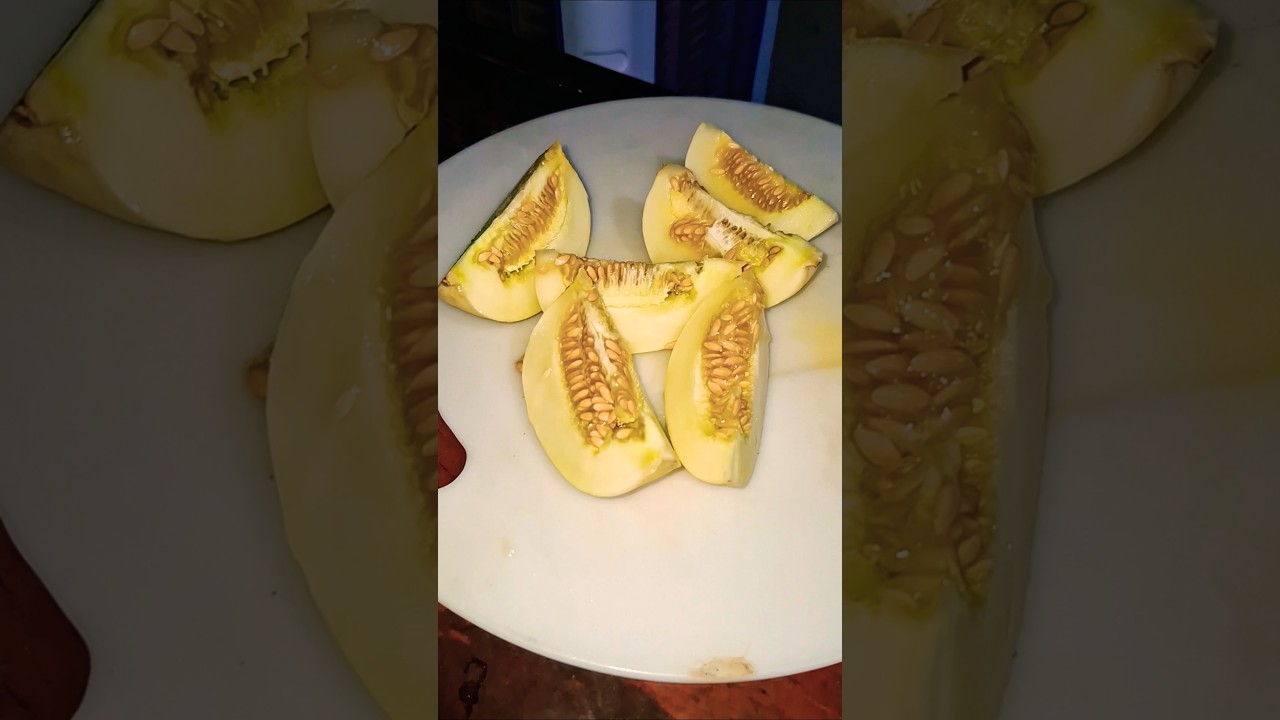 new ! 참외 #제철음식 #영양식 #디저트#koreanfood #건강 정보 #과일 #food . 천연 비타민과 미네랄이 풍부하여 건강에 좋은 과일 중 하나입니다.