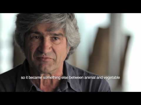 The Bloomberg Commission: Giuseppe Penone: Spazio di Luce