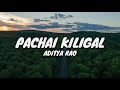 Pachai Kiligal Lyrics Ft Aditya Rao