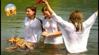 Random Funny Videos |Try Not To Laugh Compilation | Cute People And Animals Doing Funny Things #102