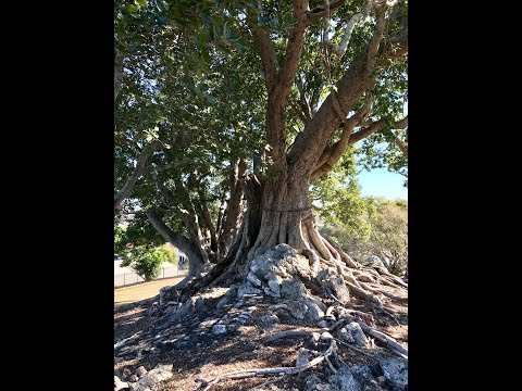 To co nas otacza; What surrounds us