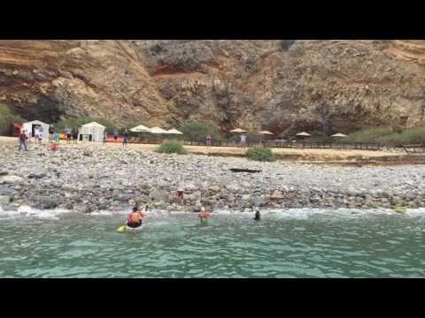 Catalina Channel Swim - 19 The Finisher