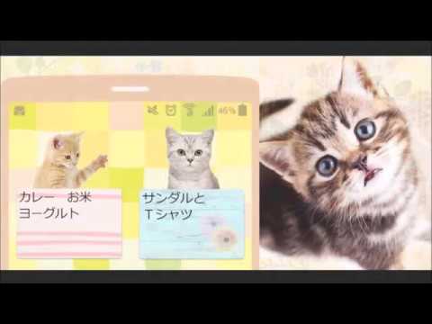 Cats Sticky mine Video