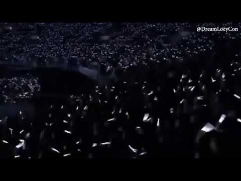 Dream With Loey test concert