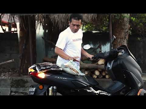 harus-peka-puja-astawa-haibanana-haipuja