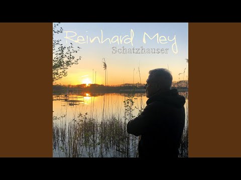 Wo Sind All Meine Freunde Hin - Reinhard Mey