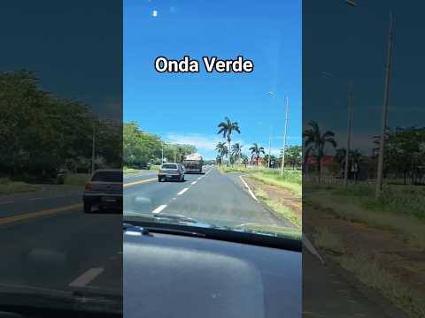 #ondaverde #interiorsp