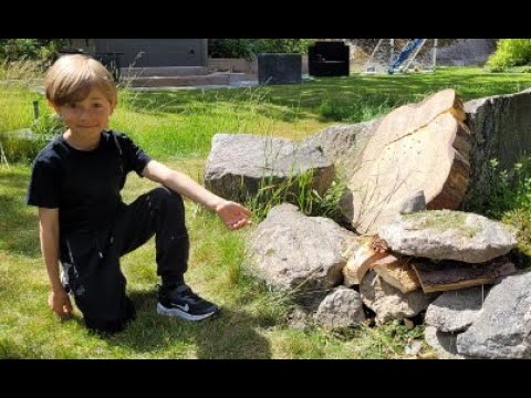 Så här bygger du ett bo för ORMAR!!!