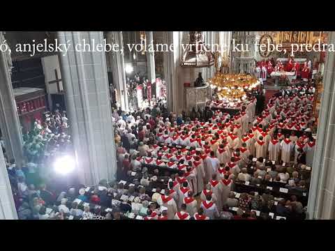 JKS 267 - Hostiu vitajme (Dóm sv. Alžbety)