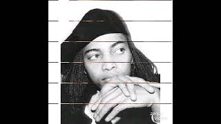 does anyone remember Terrence  Trent  d&#39;arby