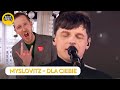 MYSLOVITZ - DLA CIEBIE | Dzień Dobry TVN
