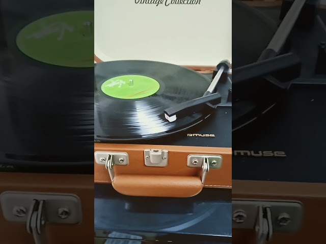 Vídeo relacionado con Alnicov LP estroboscopio disco tocadiscos calibración disco estroboscópico velocidad de ajuste con tacómetro de doble cara para amantes de los discos LP