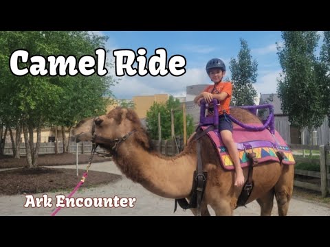 Ark Encounter ~ Camel Ride, Zoo