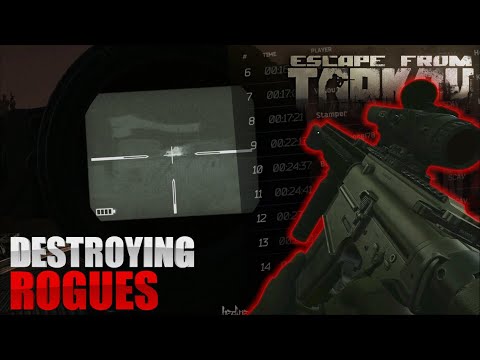 THERMAL G28 is INSANE!!! 12.12 Lighthouse Raid - Escape From Tarkov