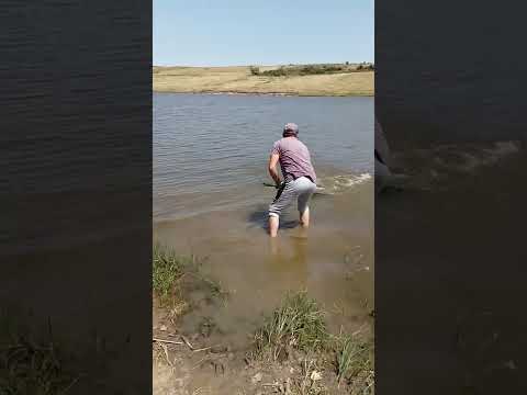 Pescuit pe balta cornu