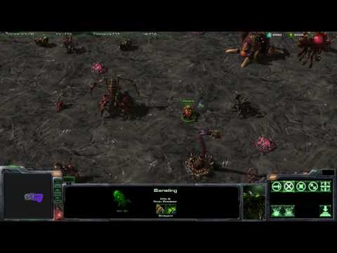 Maze Esports - Zerg Tutorial - Unit Strategy and Counters Part 1/2