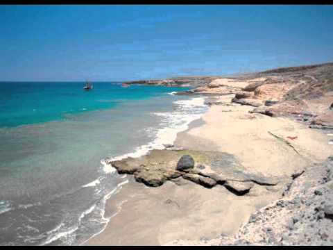 Punjabi Hit Squad-Hai Hai