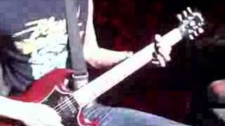 The Devil Wears Prada Dogs Can Grow Beards All Over