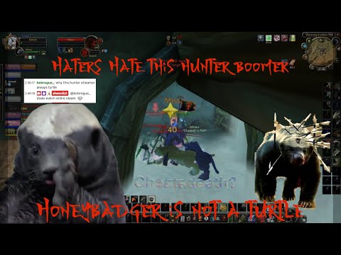 Hatters will hate yet still click on it - Warsong Classic hunter boomer FC gamer...