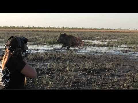 THE LAST PARADISE SERIES - Drones view of swamp and using MPR308
