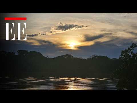 Así es hacer senderismo en Mapiripán, Meta donde el llano se une con la selva | El Espectador