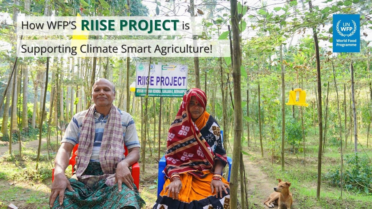 Climate-Smart Farming in Odisha: How the WFP's RIISE Project is Supporting Smallholder Farmers