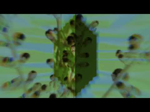 Thumbnail for Red Hands video