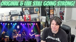 ZEBRA FIRST TIME NICK REACTION TO Bears |  Watch until end for live version!! AMAZING DISCOVERY🤘🎸🤩🔥