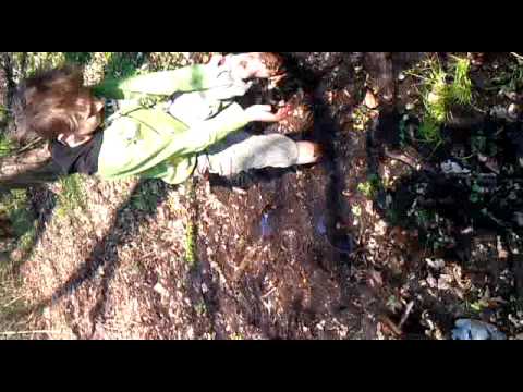 Treibsand oder so.xd