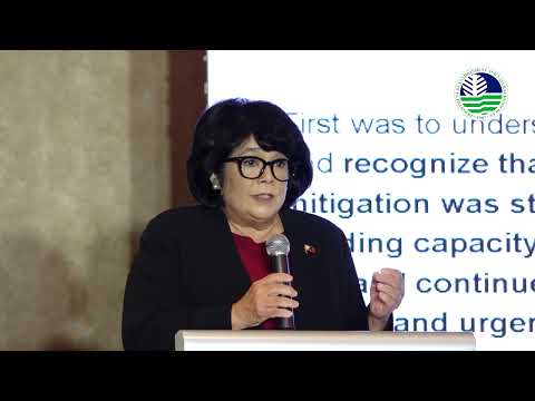 Sec Loyzaga at the Private Sector & Climate Action Towards a Low Carbon Future & Climate Resilience