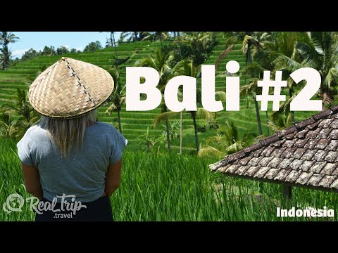 No todo siempre sale bien - Bali #2