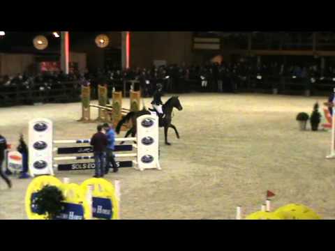 l' Hermes de Muze 4yr Stallions Azelhof 24 1 15