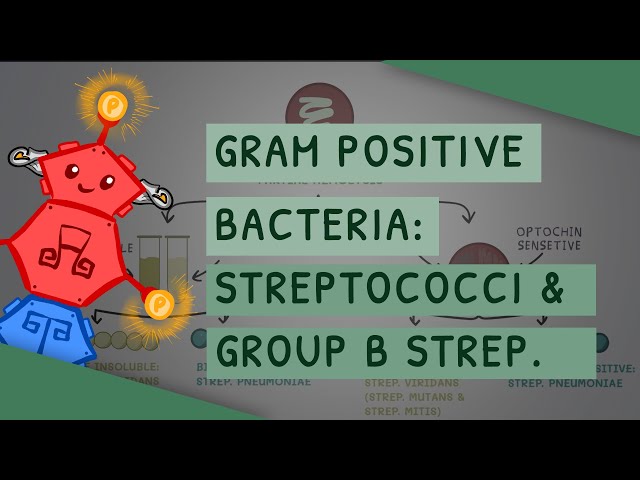 Video Pronunciation of streptococci in English