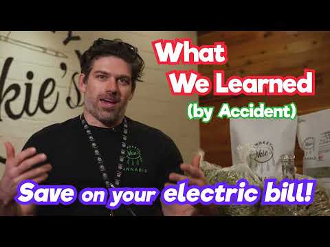 When to increase light intensity for flowering cannabis | Slowly increasing light intensity