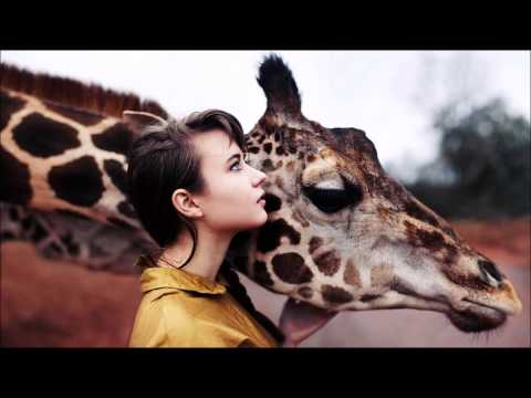 Klingande feat. Broken Back - Riva (KRONO Remix)