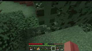 たけのこチャンネル のマイクラライブ配信