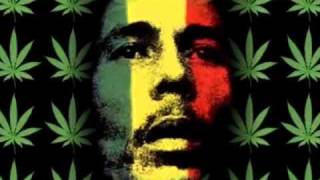 Gondwana   reggae is coming