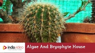 Algae and Bryophyte House, Nilambur