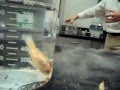 Goldfish in Liquid Nitrogen 