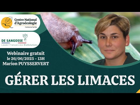 Managing slugs in agriculture with Marion PUYSSERVERT - CNA