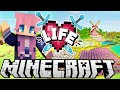 Flower Fields Ep 4 Minecraft X Life SMP