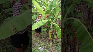 Download lagu video lucu bikin ngakak hiburan warga 62 #funny #comedyterbaru mp3