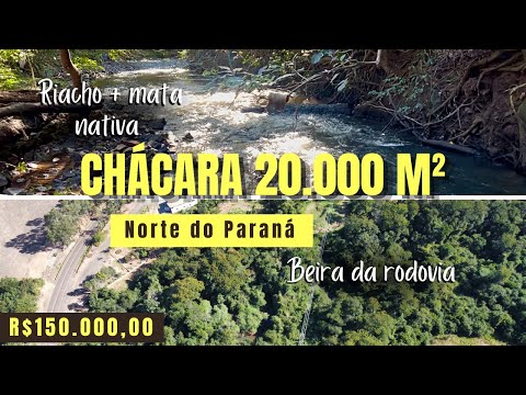 RIACHO QUE DESÁGUA NO RIO DAS CINZAS | CHÁCARA À VENDA NO NORTE DO PARANÁ 