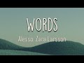 Alesso, Zara Larsson - Words (Lyrics) | I got the words 