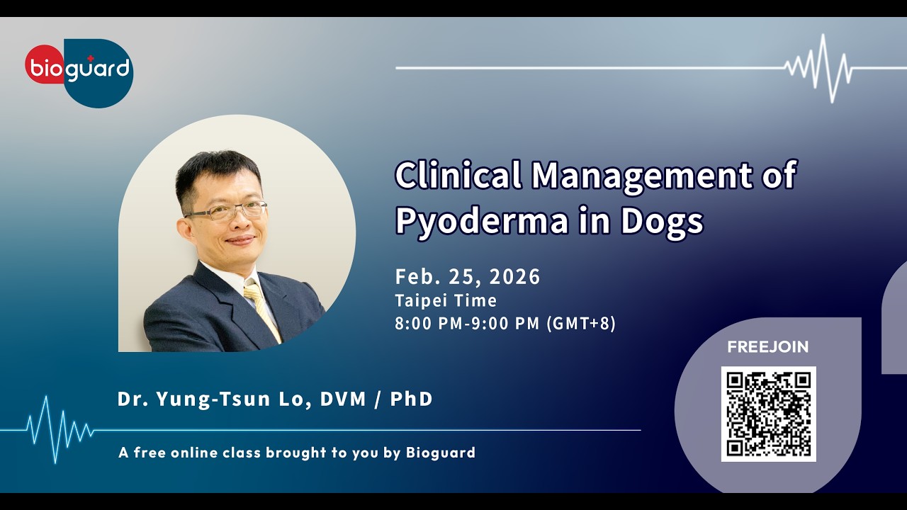 Clinical Management of Pyoderma in Dogs