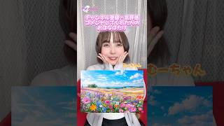 きれいなお花がいっぱいだ〜🌼 #shorts