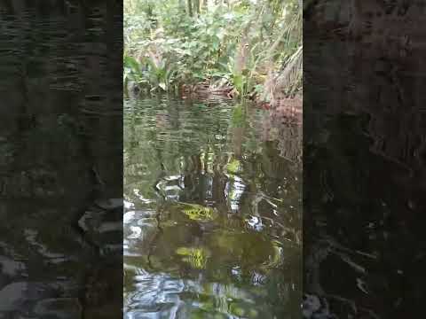 Levend water verfrissend vrij../ Drape wang liba de...( acapella )